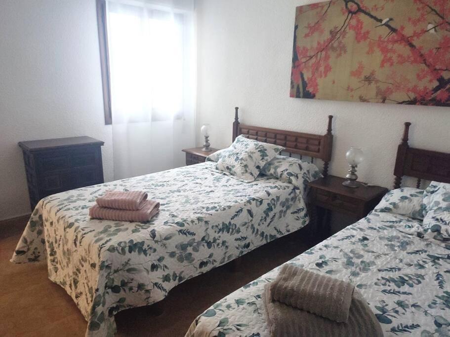 Apartment Charming & Spacious In Historic Centre & Short Walk To Alicante