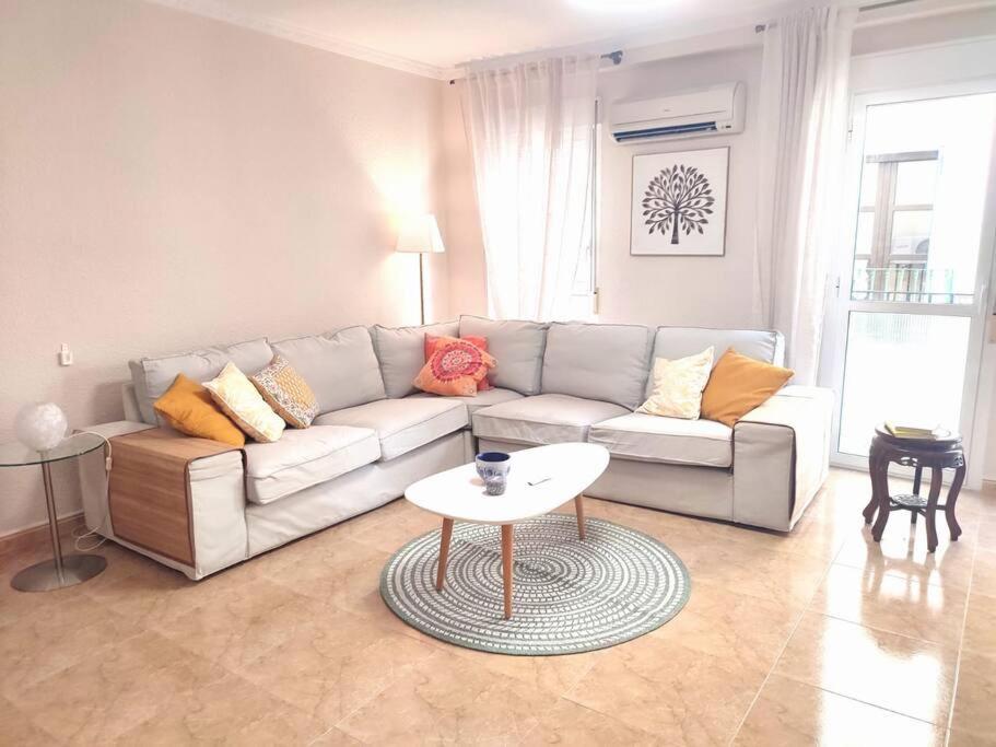 Charming & Spacious In Historic Centre & Short Walk To Apartment Alicante