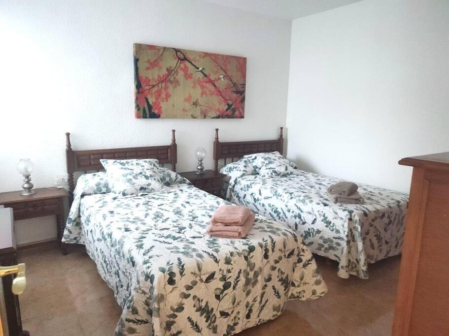 Charming & Spacious In Historic Centre & Short Walk To Alicante