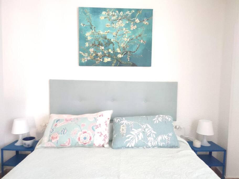 Charming & Spacious In Historic Centre & Short Walk To Apartment Alicante