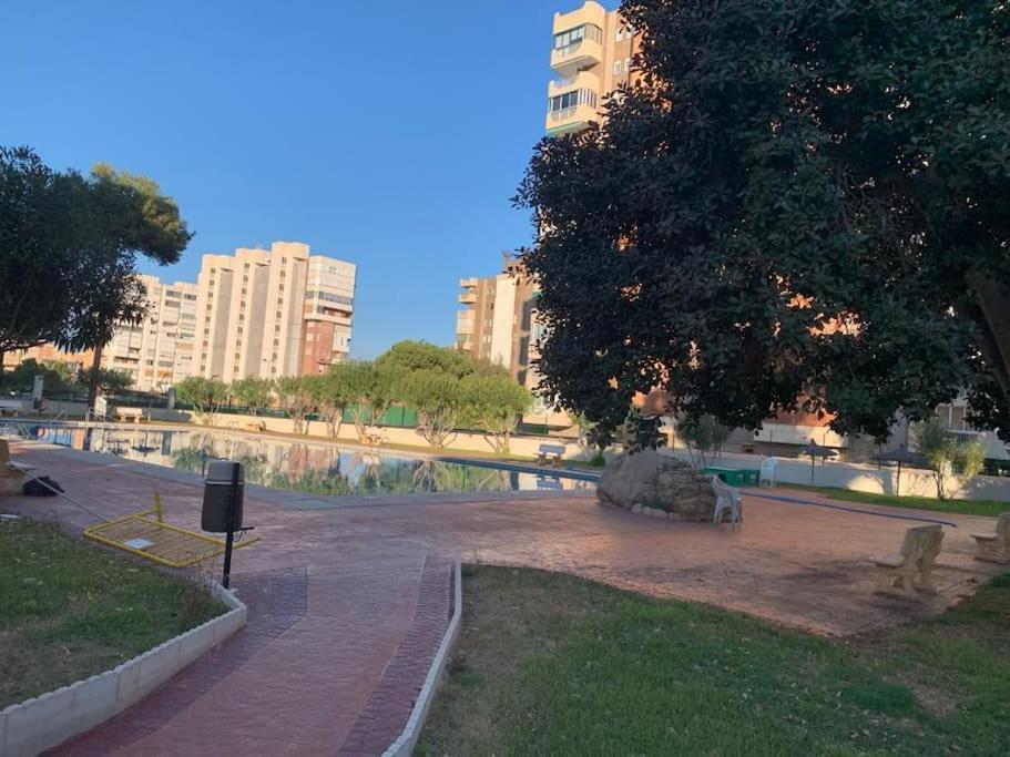 Apartamento Moderno Y Coqueto En Playa San Juan Alicante