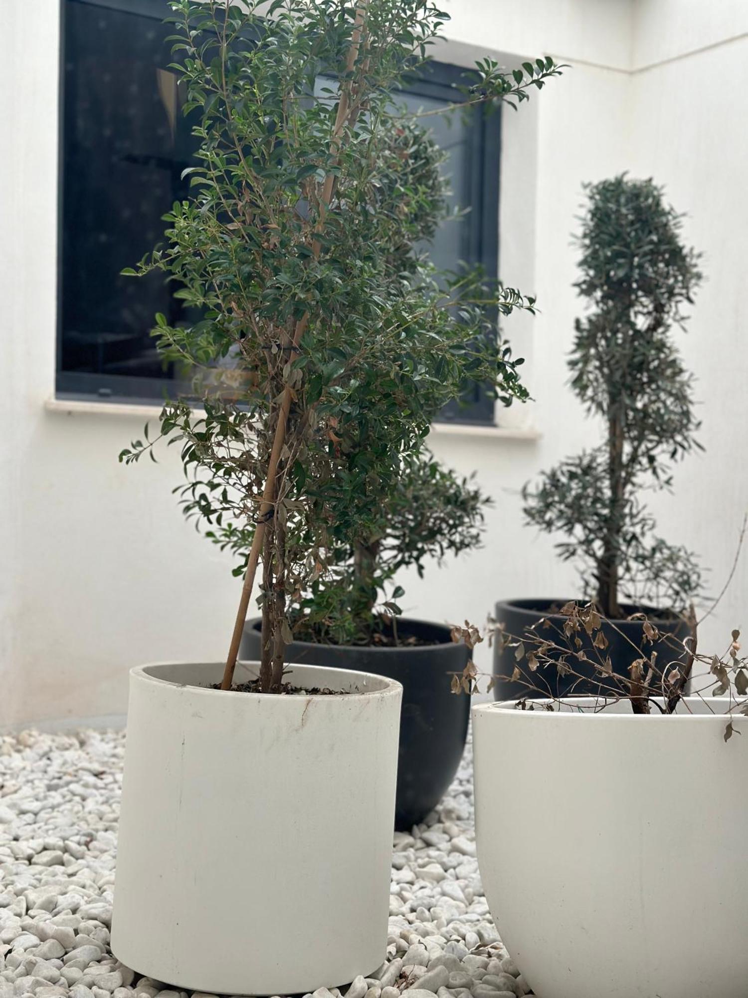 Hostel Alicante 4* Alicante