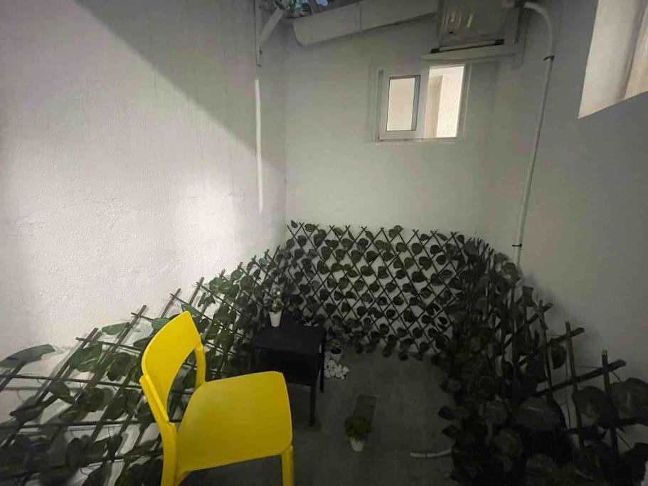 Loft Entero Centro Apartment Alicante