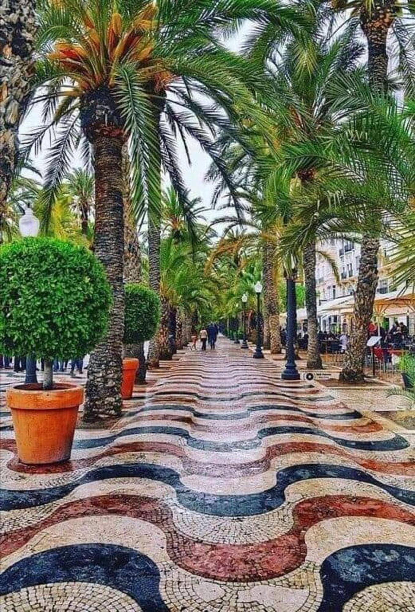 Apartment -saint Thomas- Old Town *