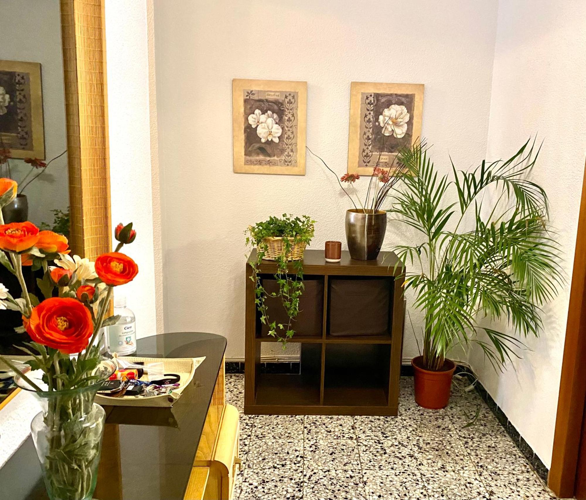 Accommodatie bij particulieren Habitacion My Alicante