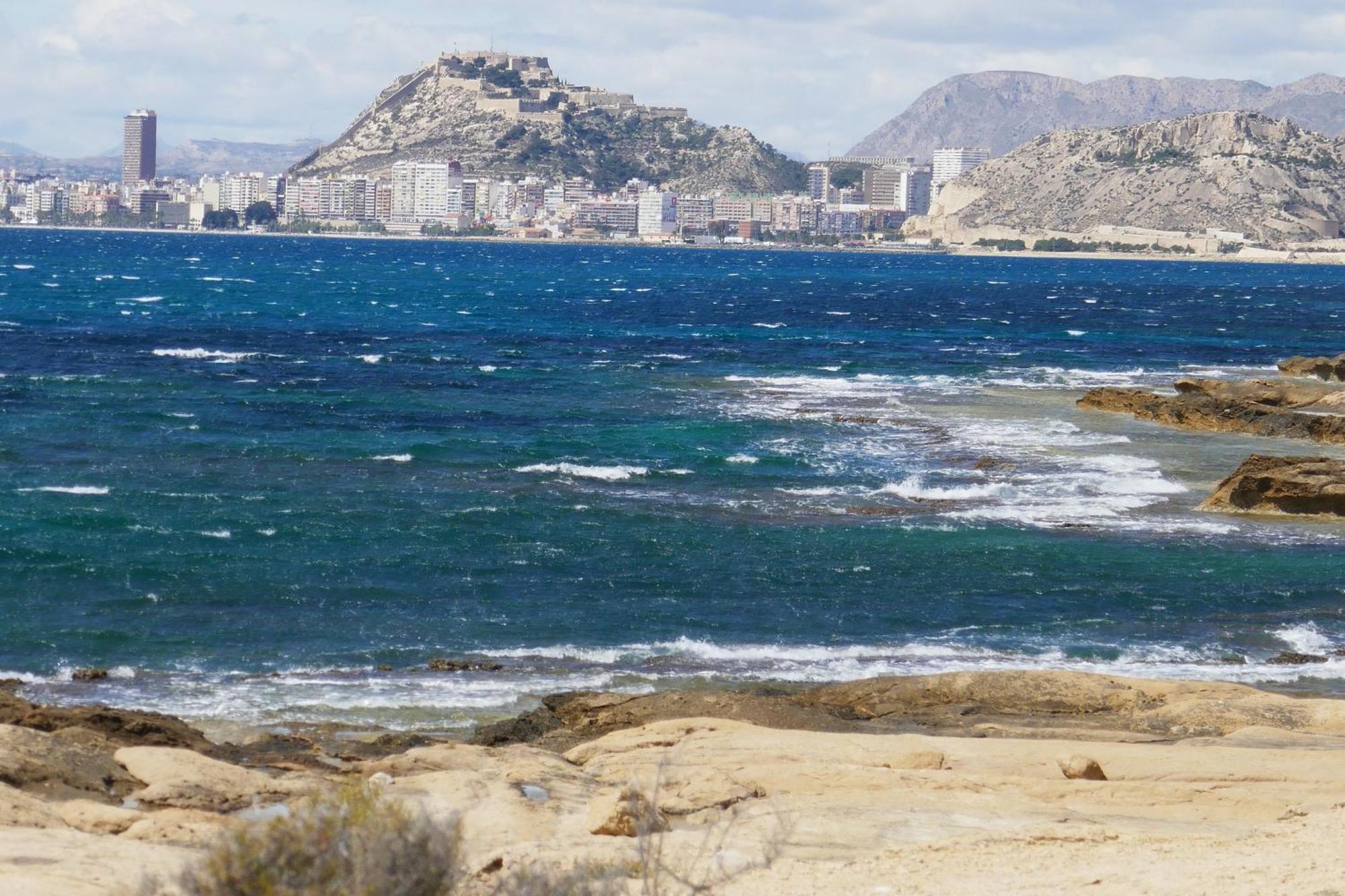Centrico Playa De San Juan Alicante
