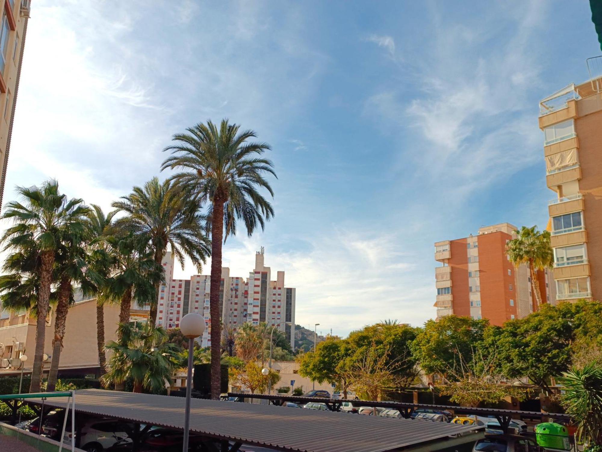 En La Playa - Alicante, Costa Blanca - Olivos Huoneisto Alicante