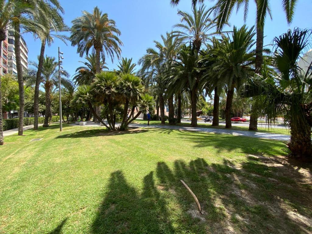 Tropical Loft Alicante