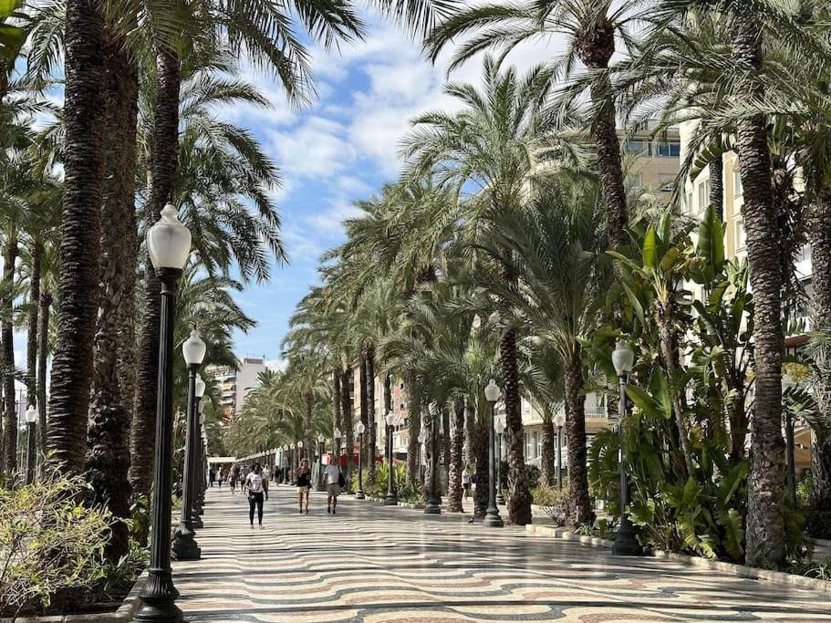 Lonja Central Appartement Alicante