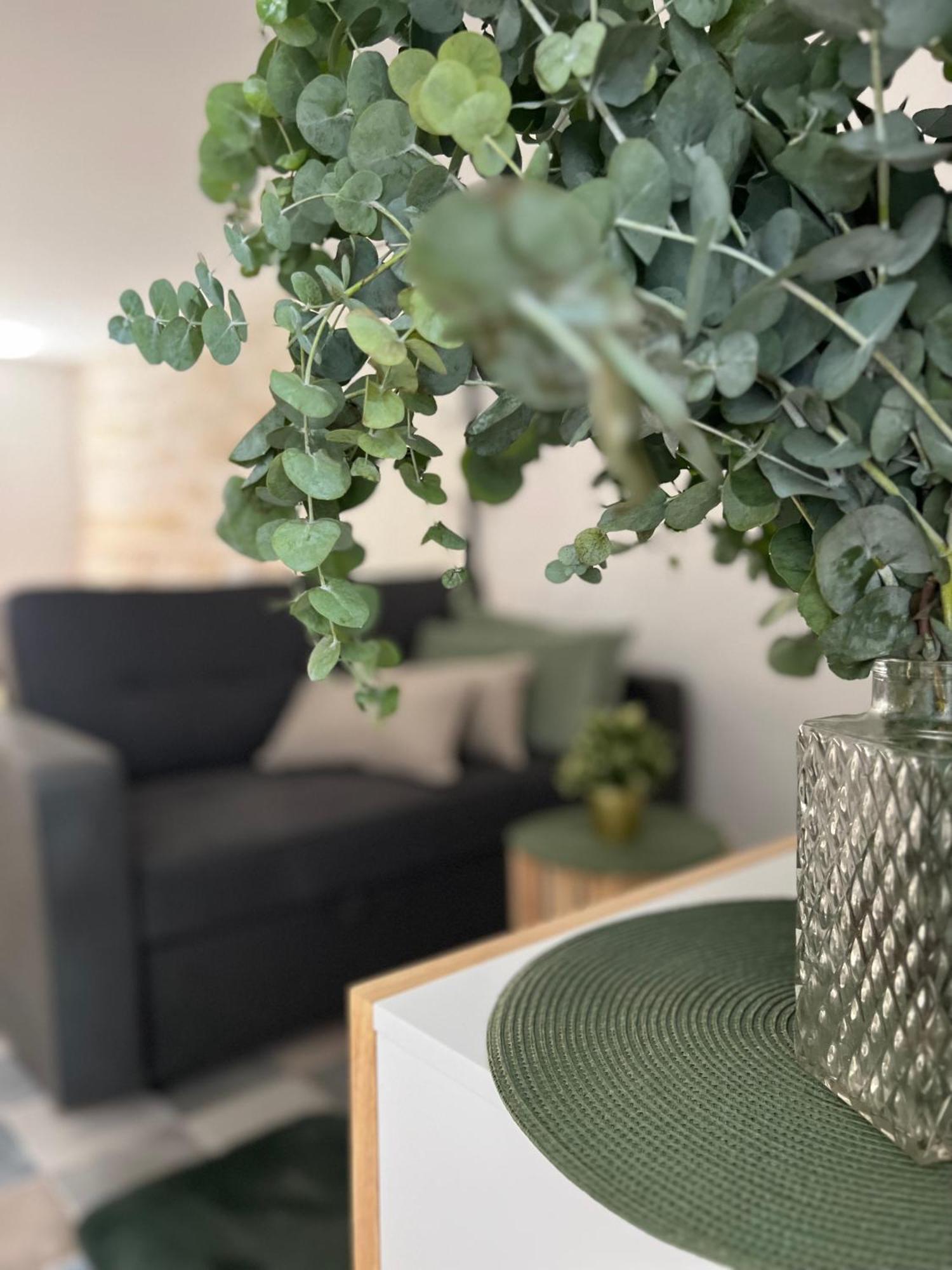 Apartamento Estudio Coqueto Centrico