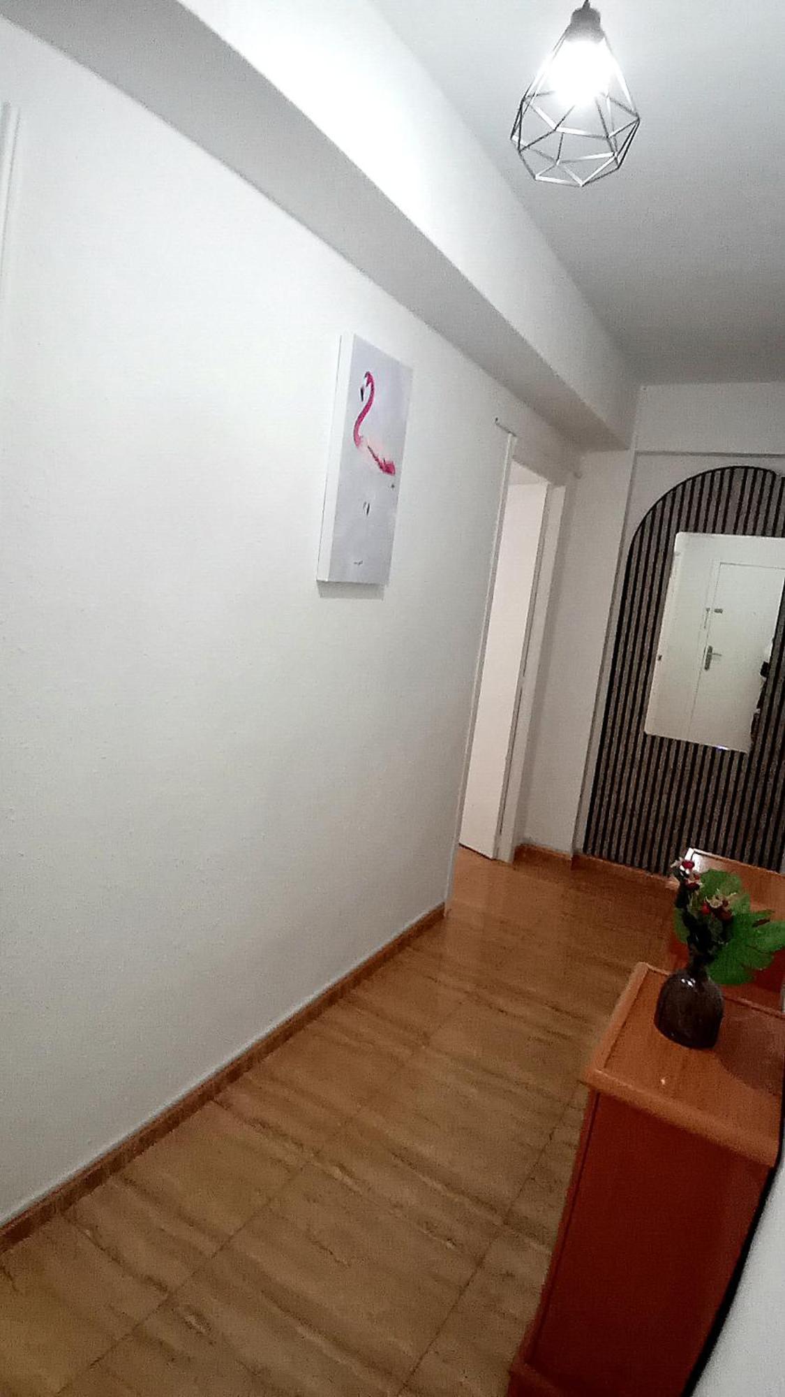 Apartment Comodo Apartamento Greenroom