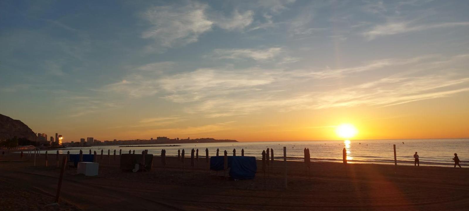 Sanfernando14 Alicante