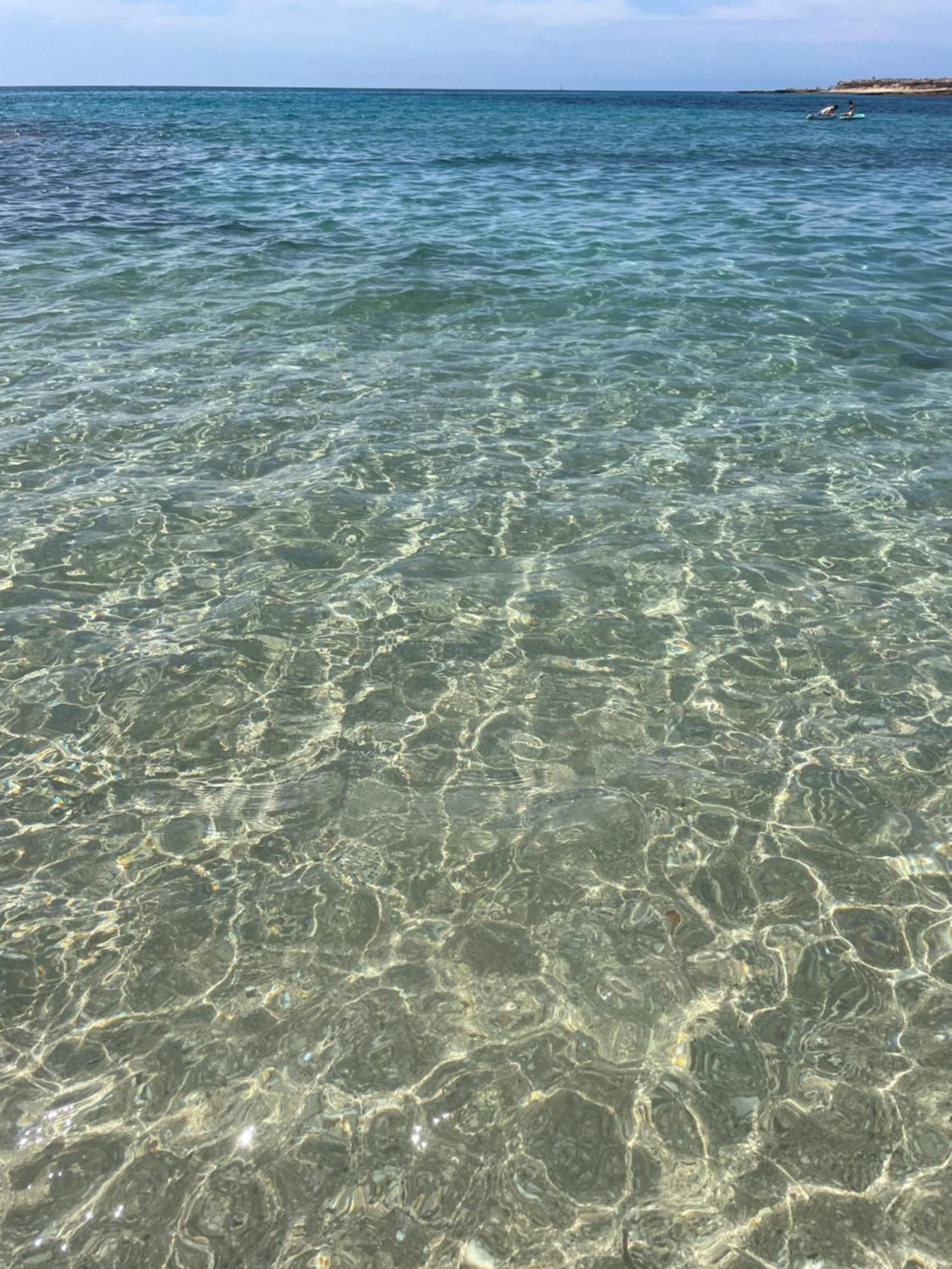 Riu Rau * Alicante
