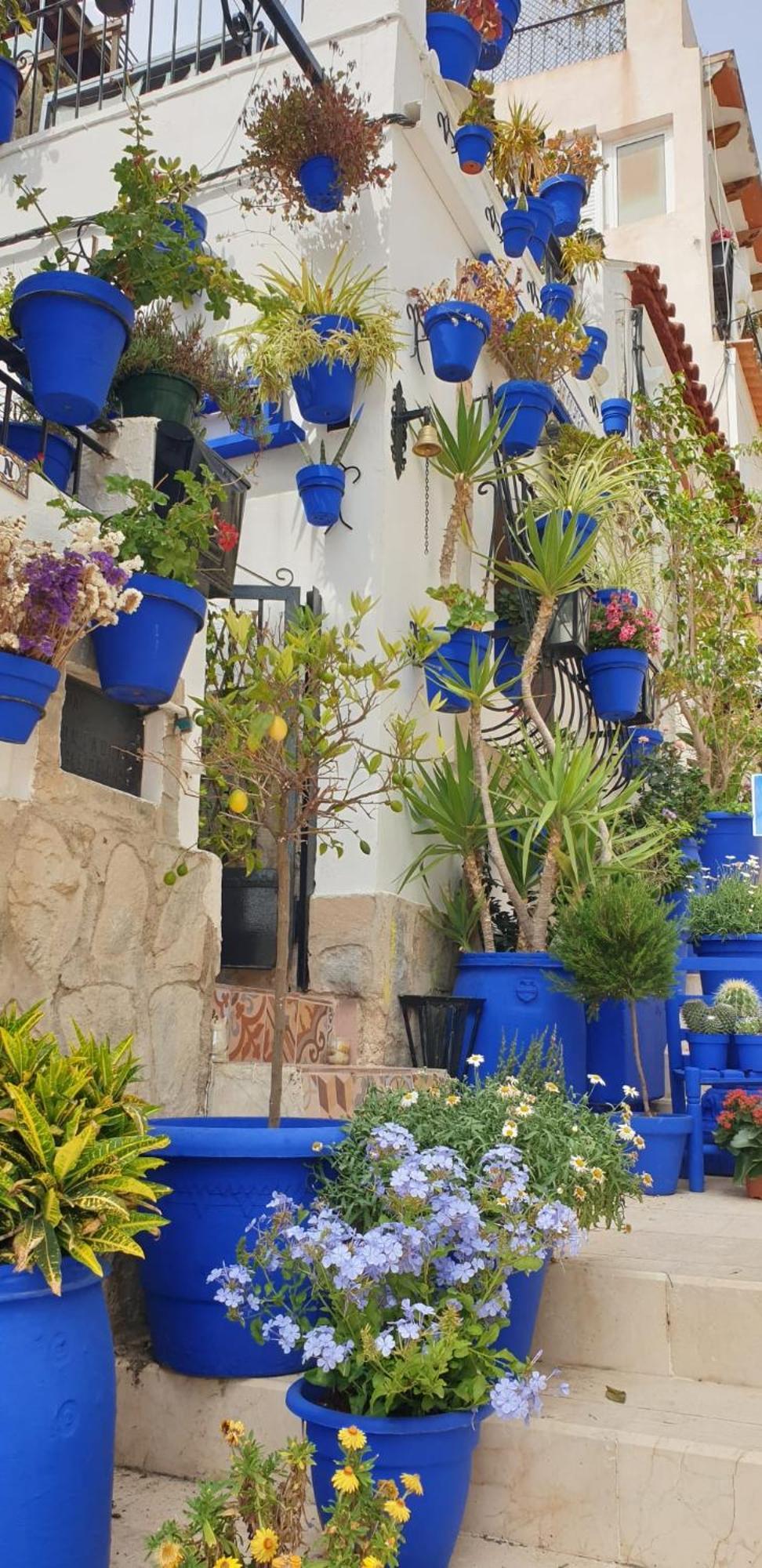 El Barrio , Playa Y Casco Antiguo Apartment Alicante
