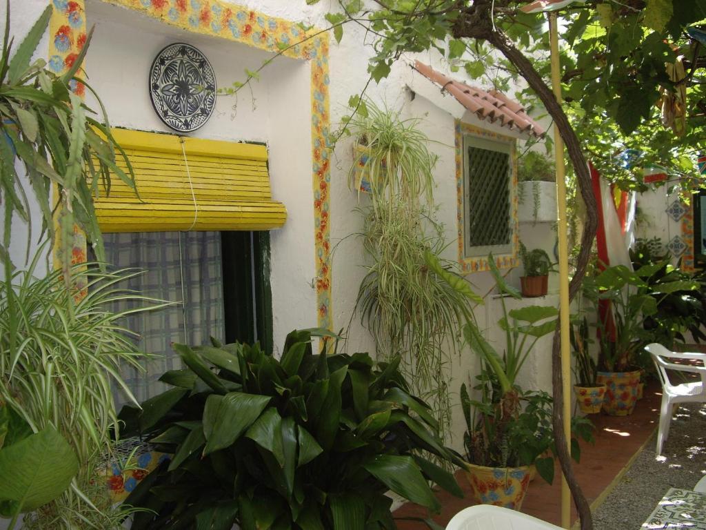 Guest house Versalles *