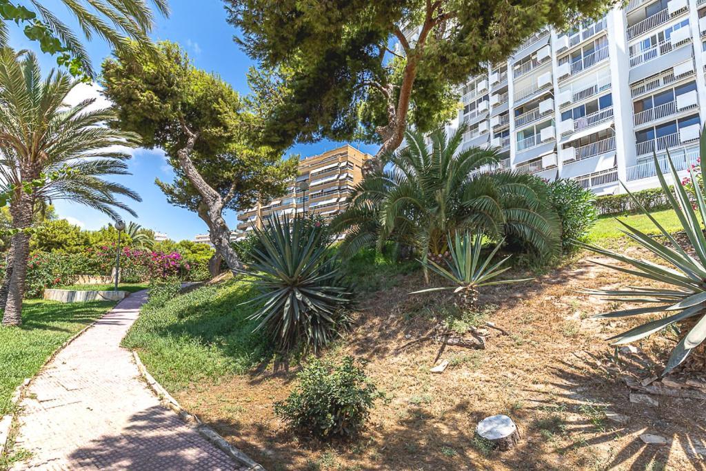 Lovely Flat On The - Awesome View Appartement Alicante