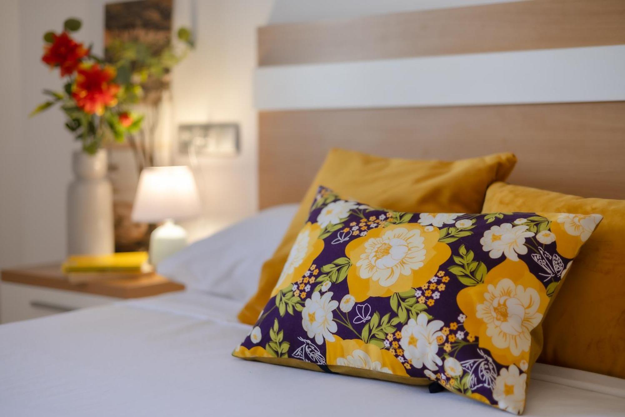 Hills Premium * Alicante