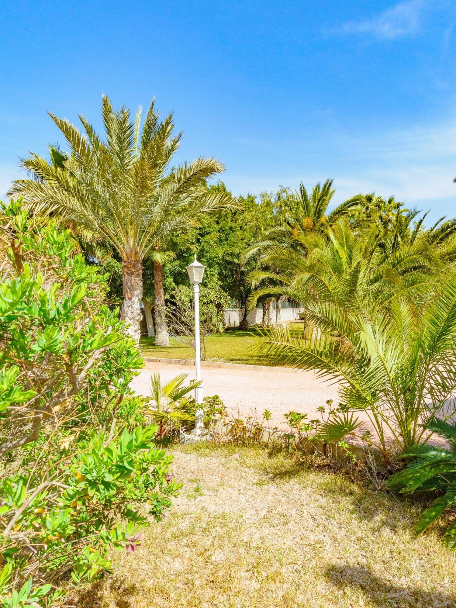 Myflats Albufereta Hideaway *