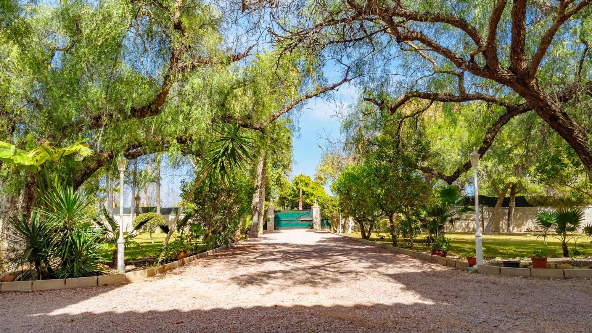 Myflats Albufereta Hideaway