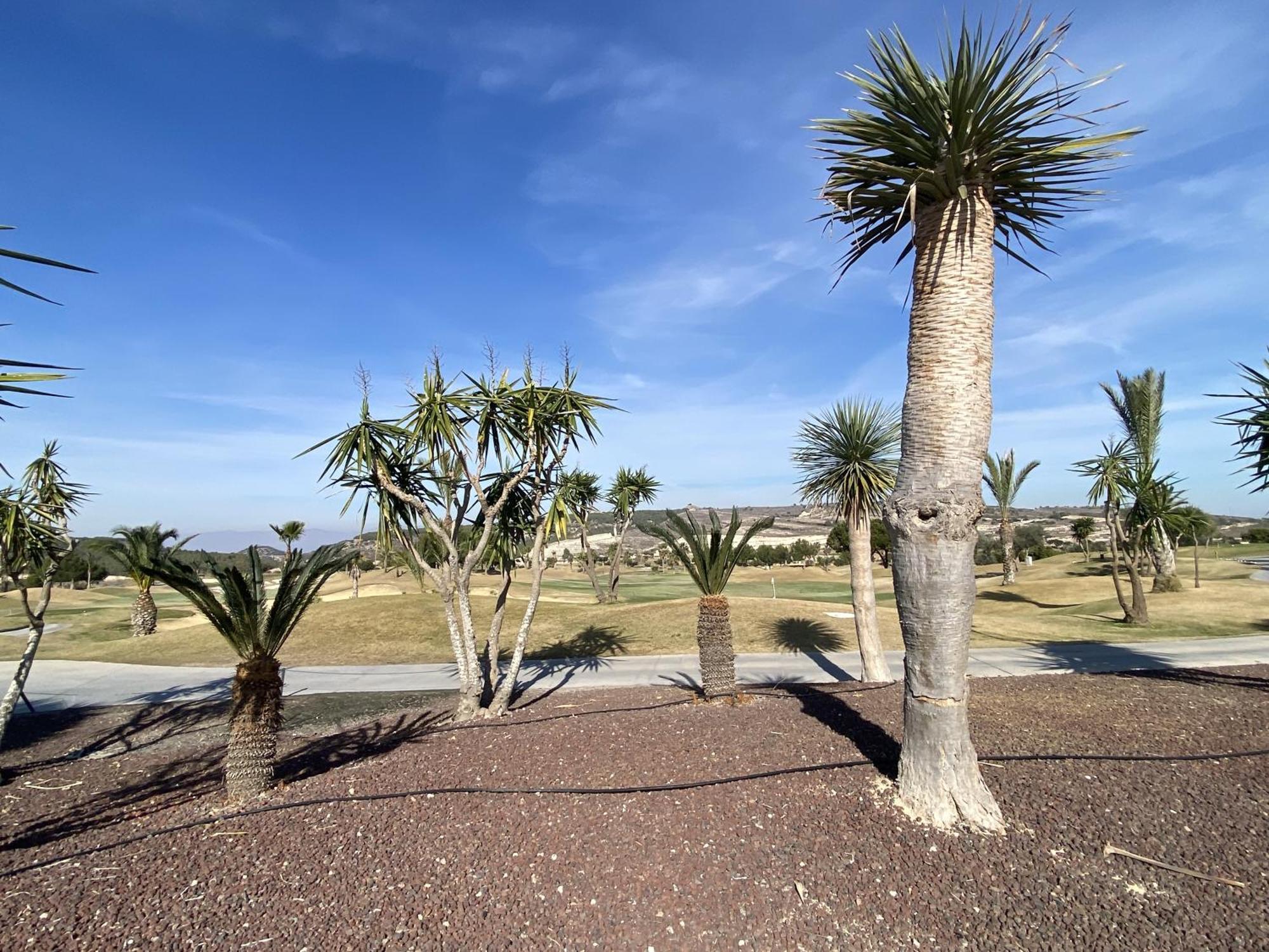 Impresionante En Zona De Golf