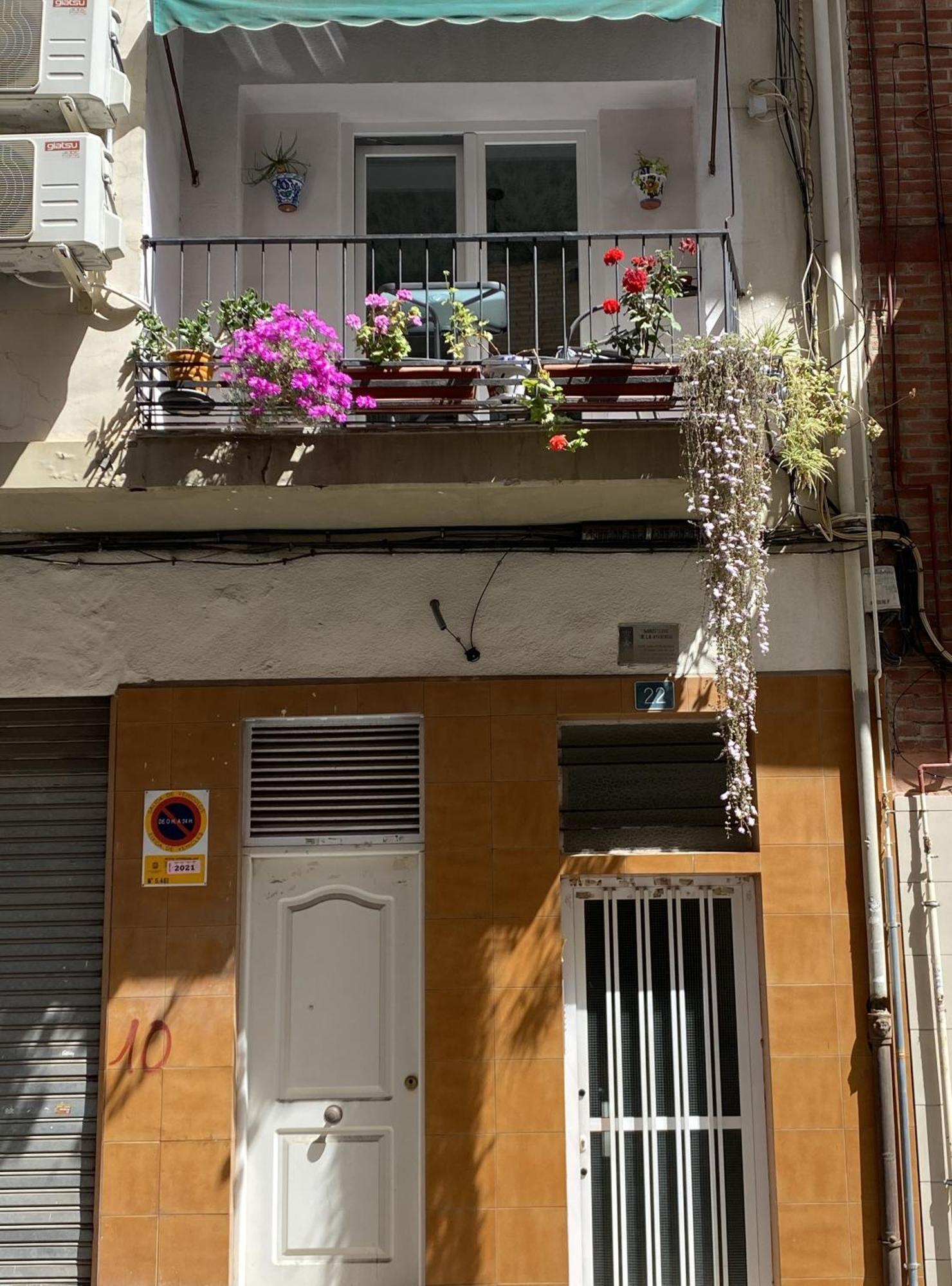 Apartment Carlota Alicante