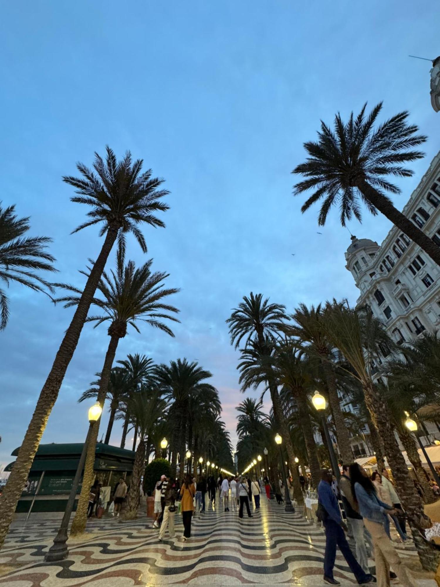 Mirador Del Mar