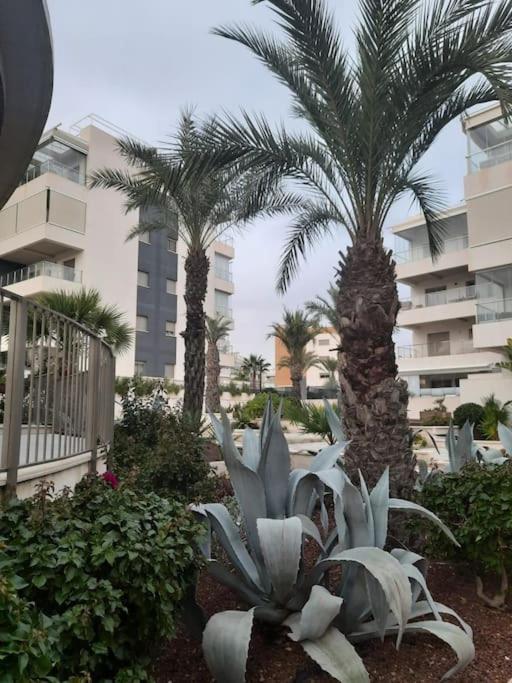 Apartment Hills La Zenia 3 New Beautifull Open First Season Alicante