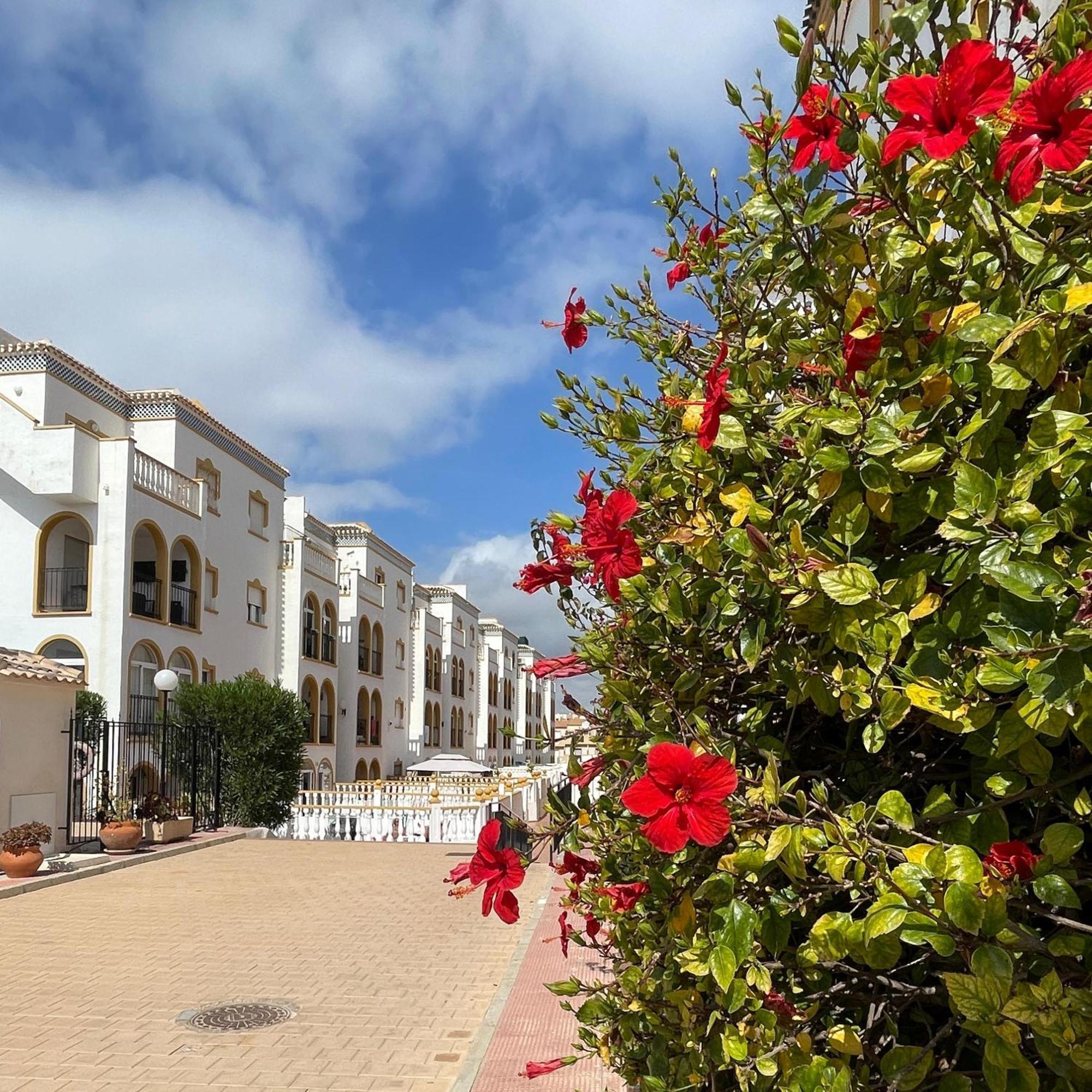 Apartment Stunning Molino Blanco La Zenia