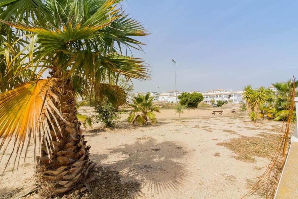 House In Punta Prima - Orihuela Costa * Alicante