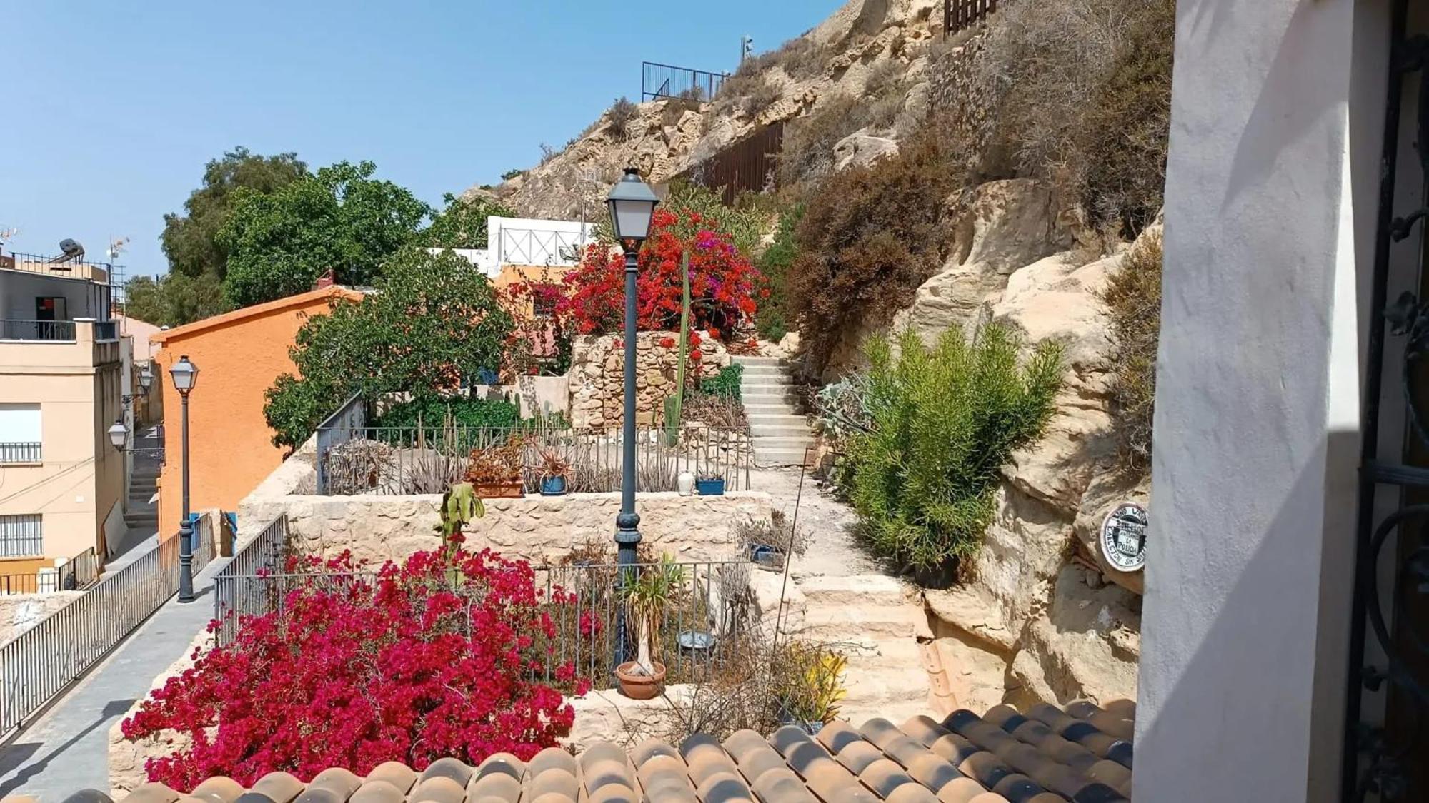 Comfortable House With Sea View In + Garden *