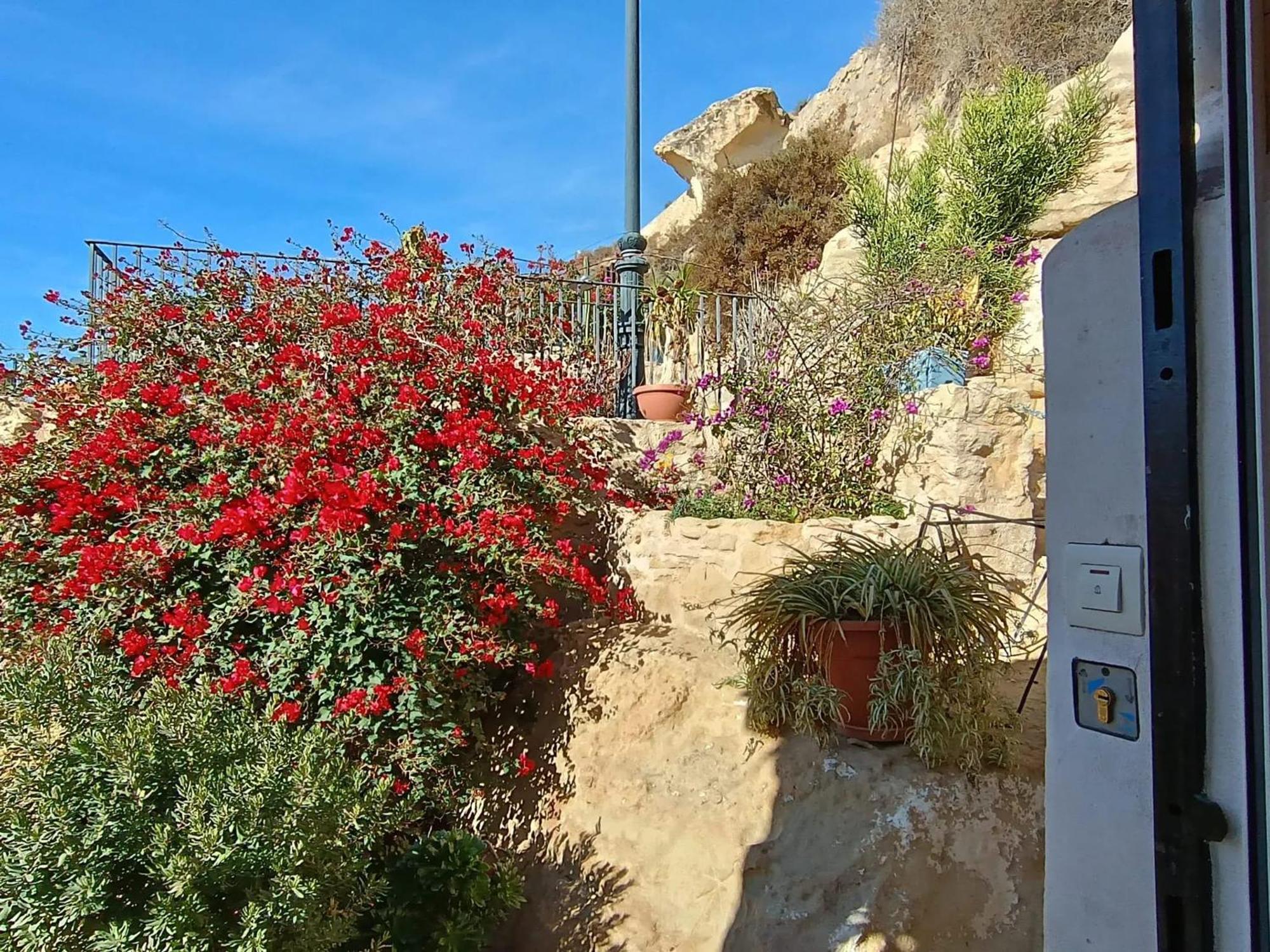 Comfortable House With Sea View In + Garden Holiday home