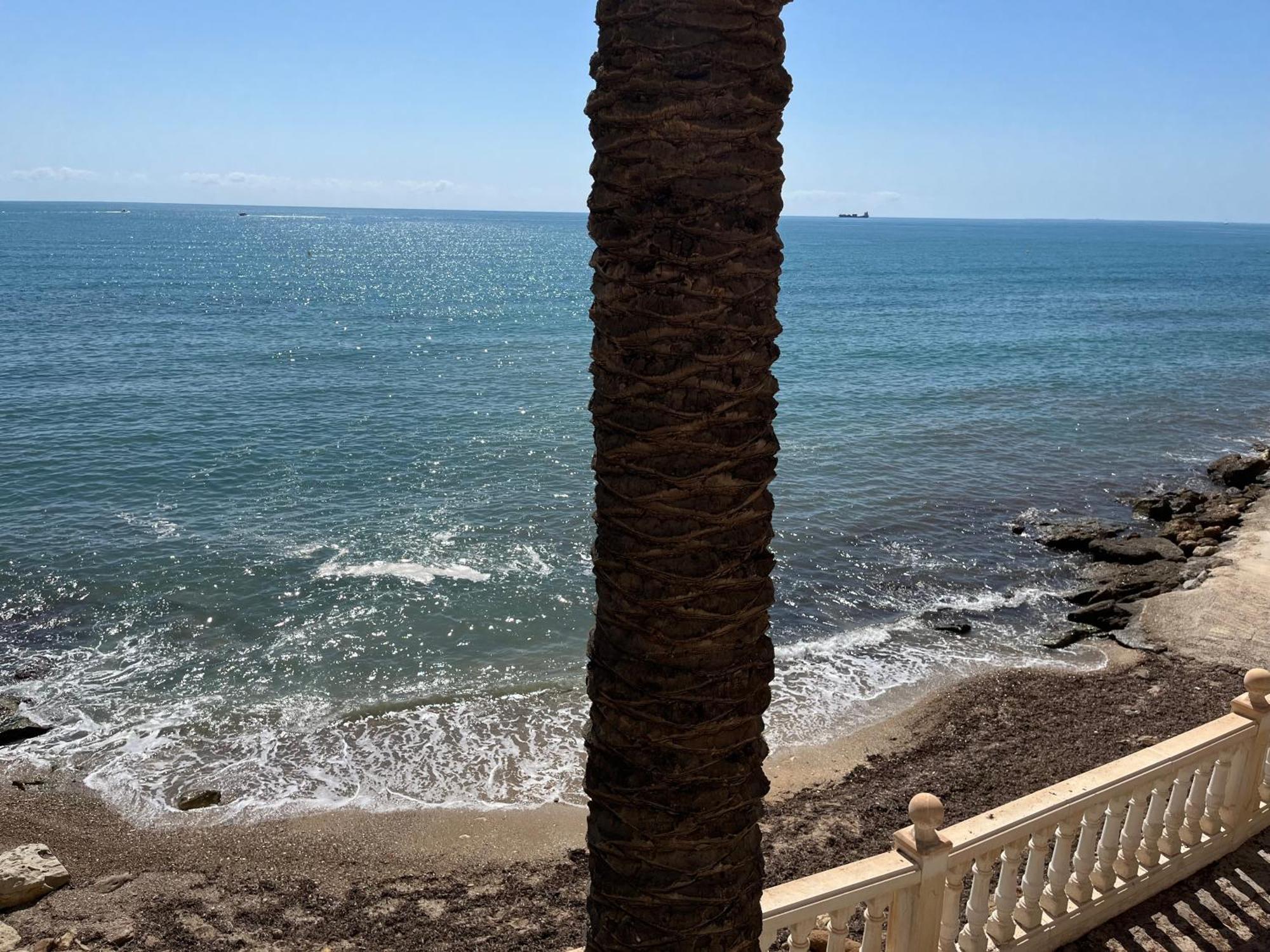 House Alicante