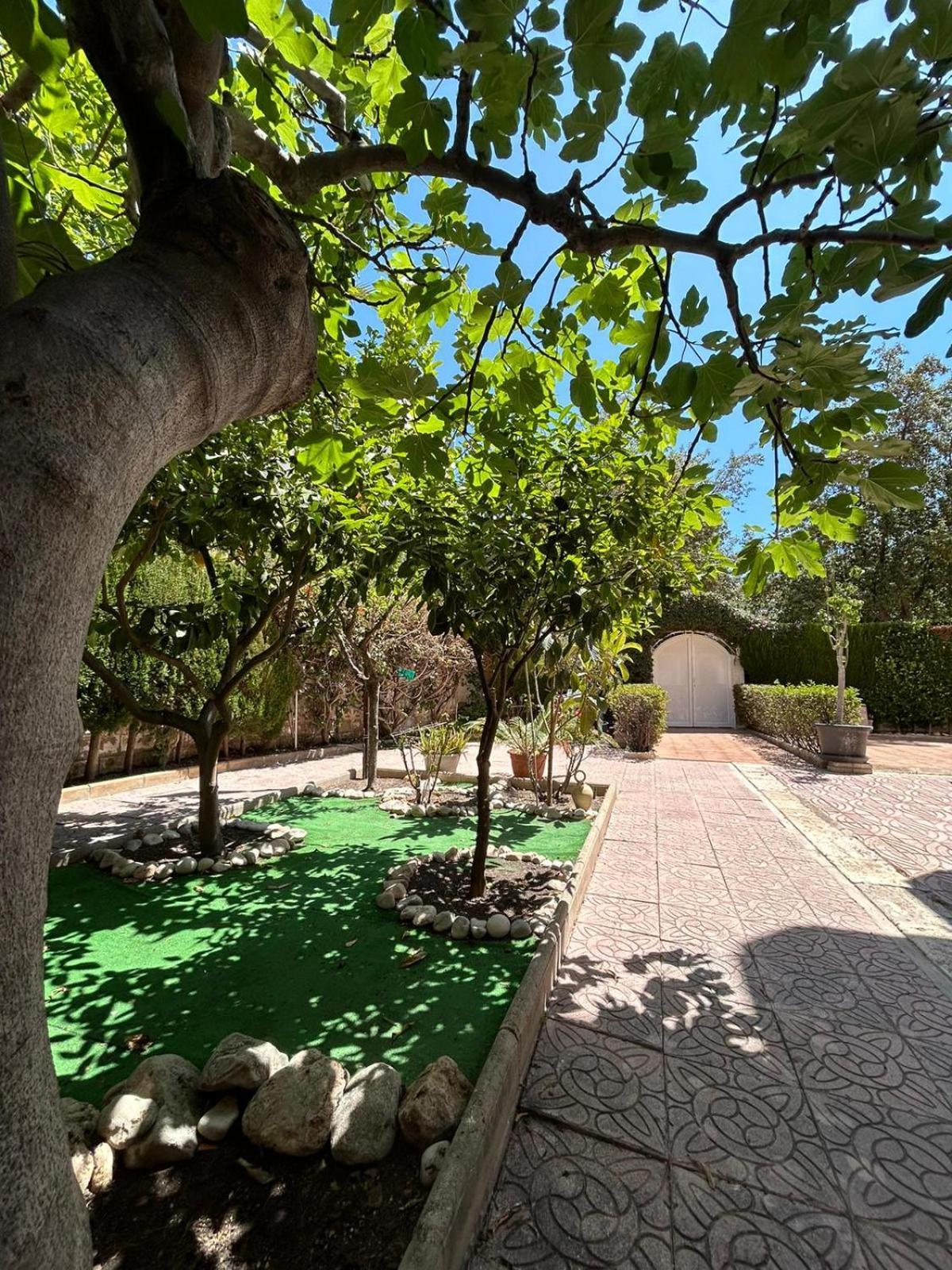 Apartment San Juan Beach Delfin Alicante