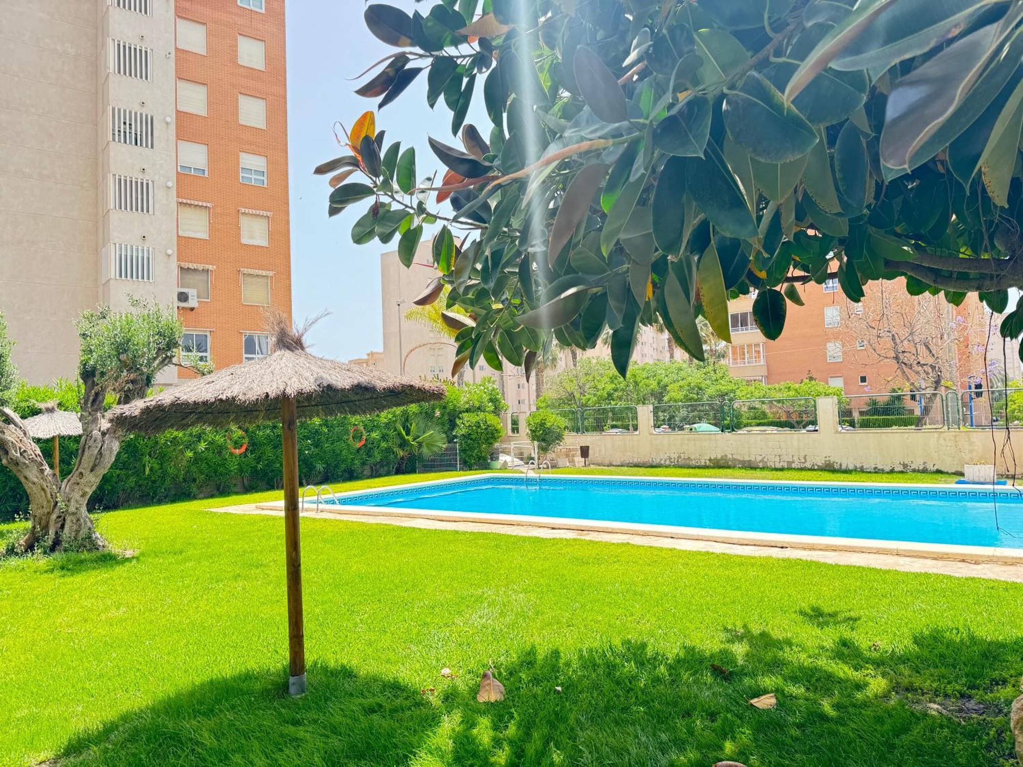 Appartement Estudio Con Piscina Alicante