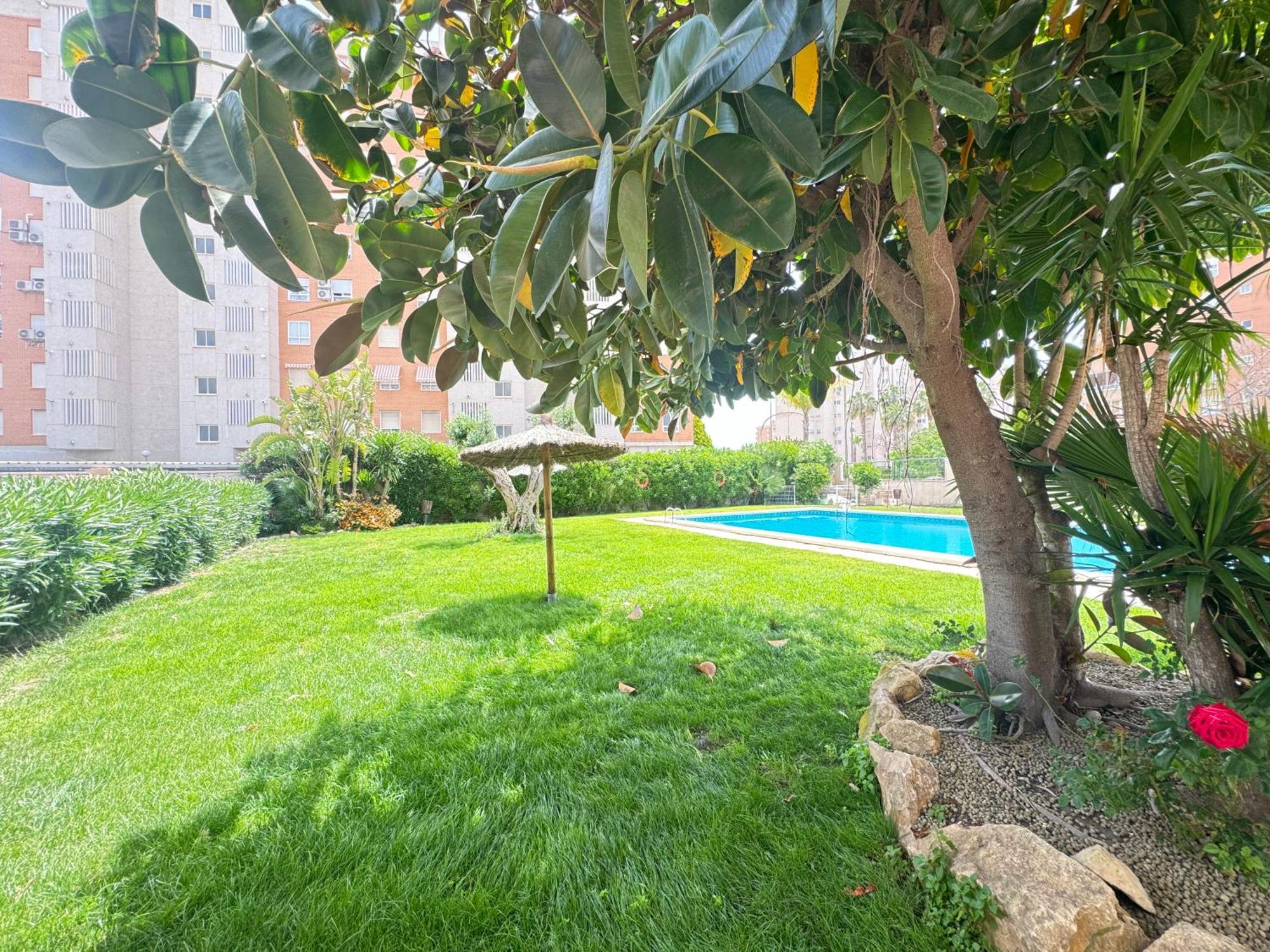Estudio Con Piscina * Alicante