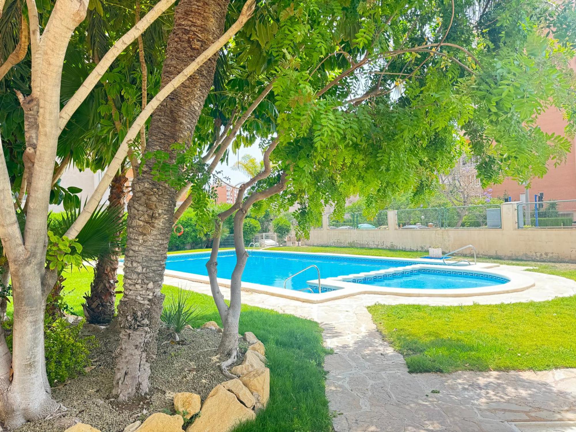 Estudio Con Piscina Alicante