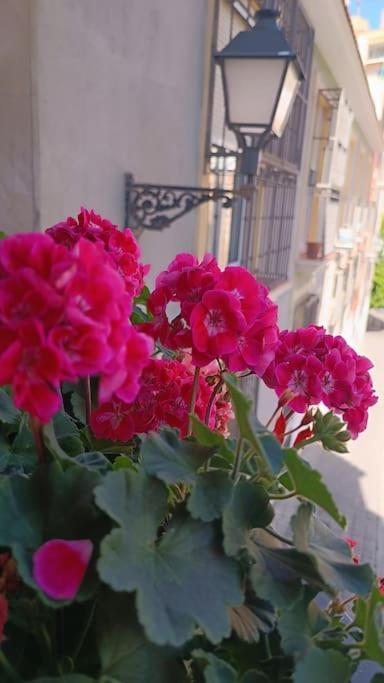 Duplex En Casco Historico A 7 Min De La Playa Alicante