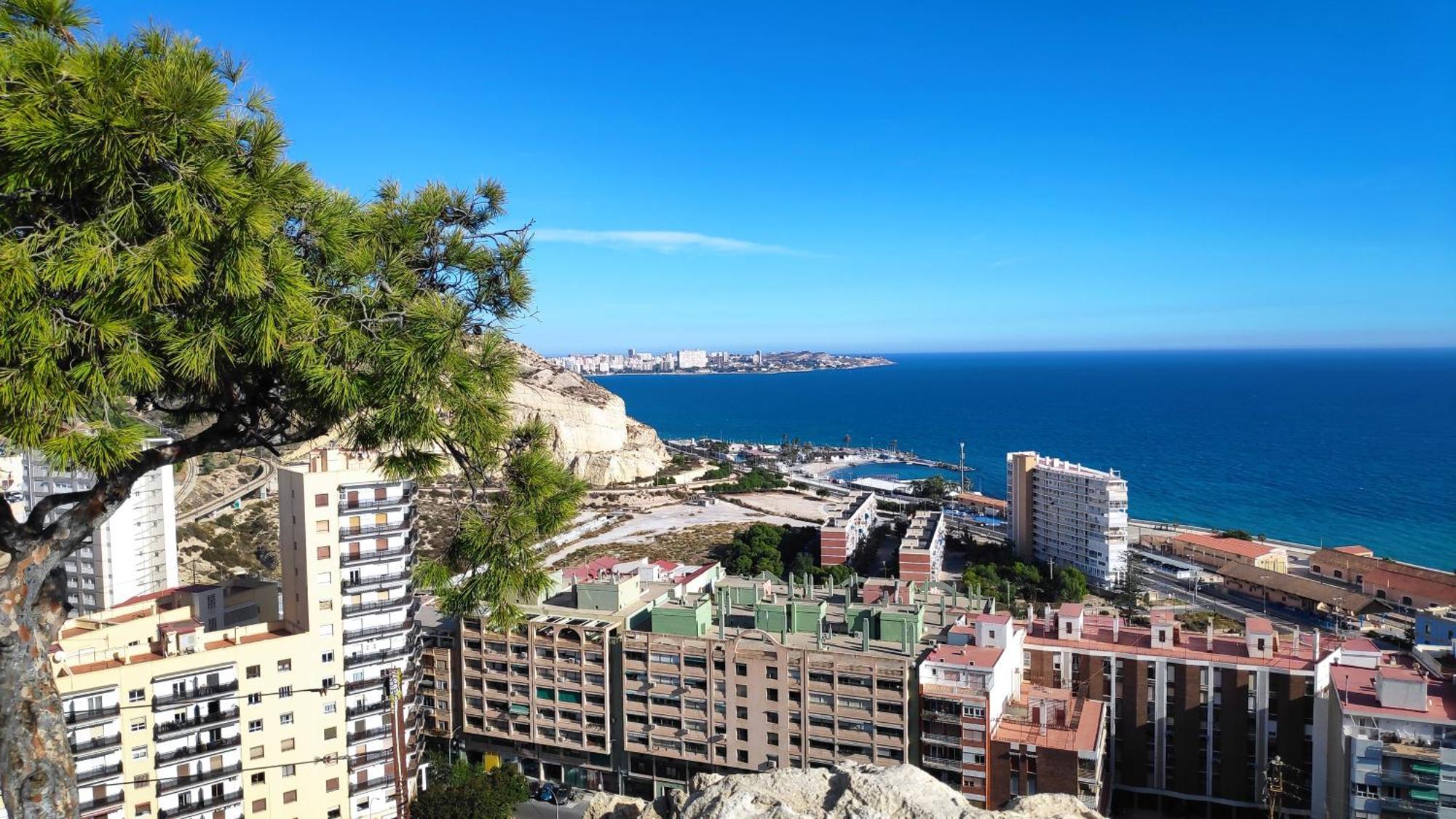 Anna's Alicante