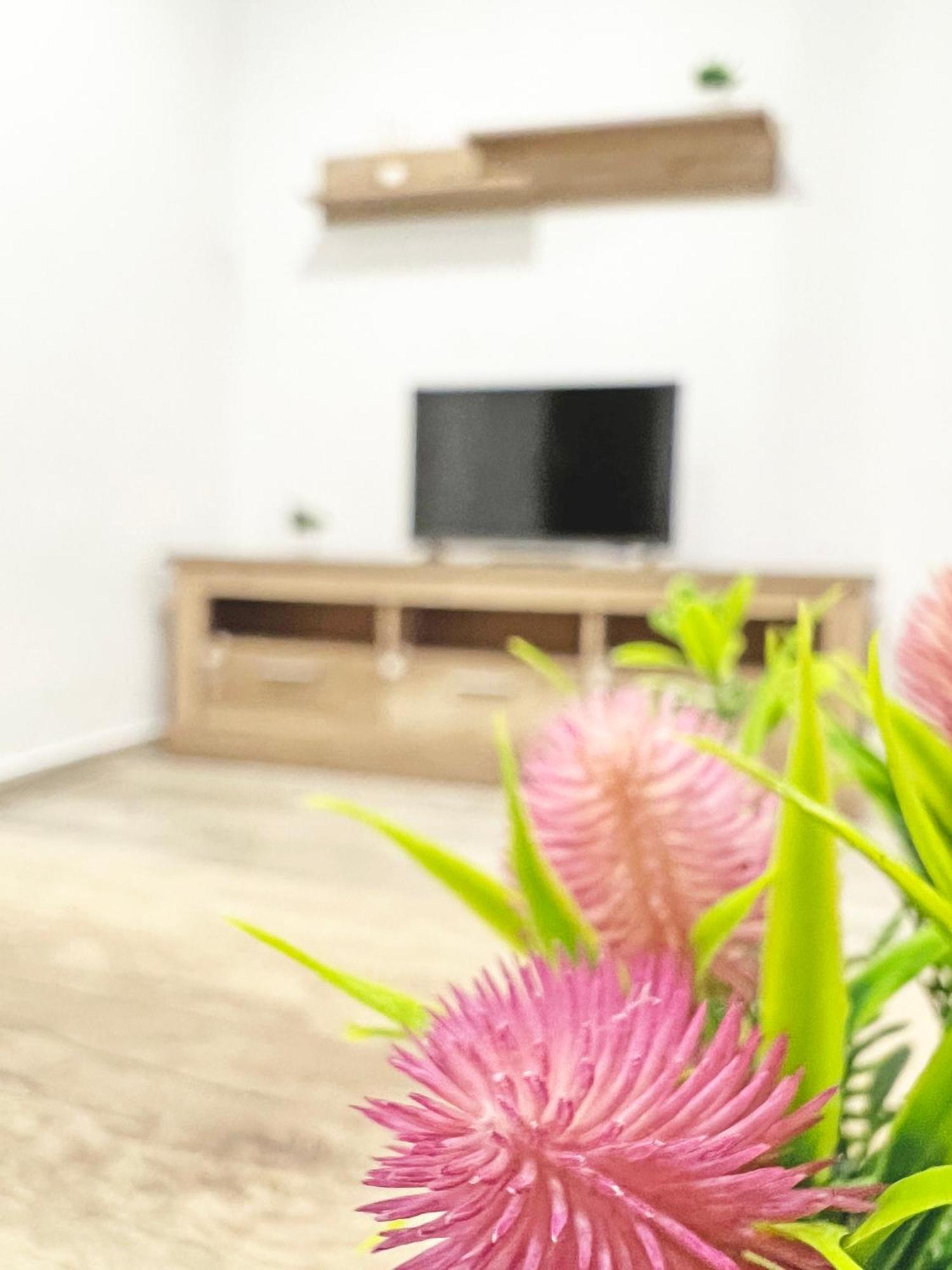 Restaurado De 3 Y Ac Apartment *
