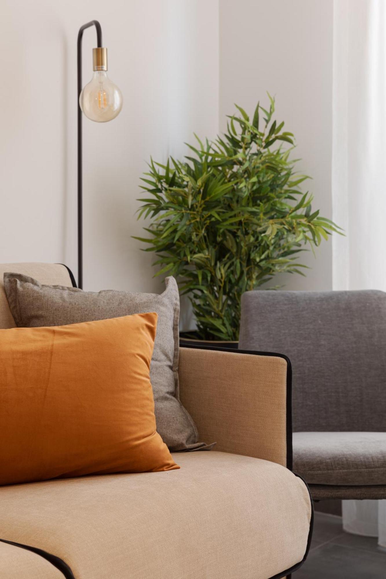 Edificio Botanica Centro By Renthas Apartment *