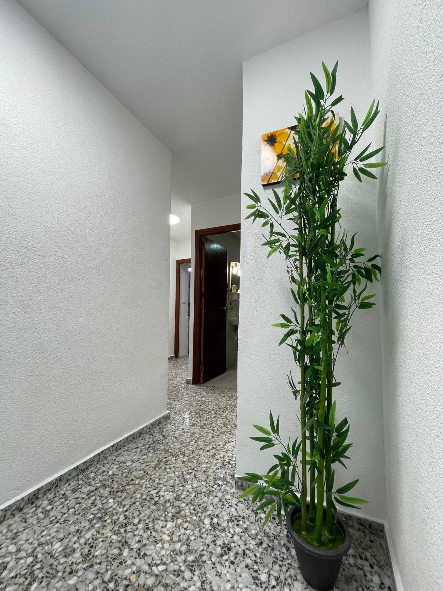 In Alicante, Spain Apartment
