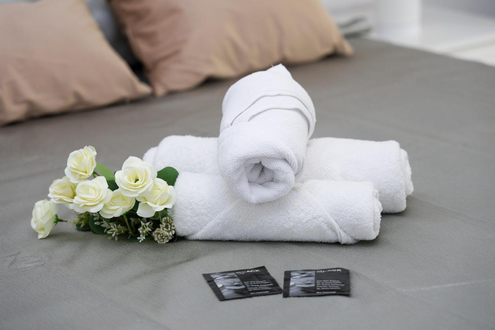 Alicantan Vital Experience Homestay Alicante