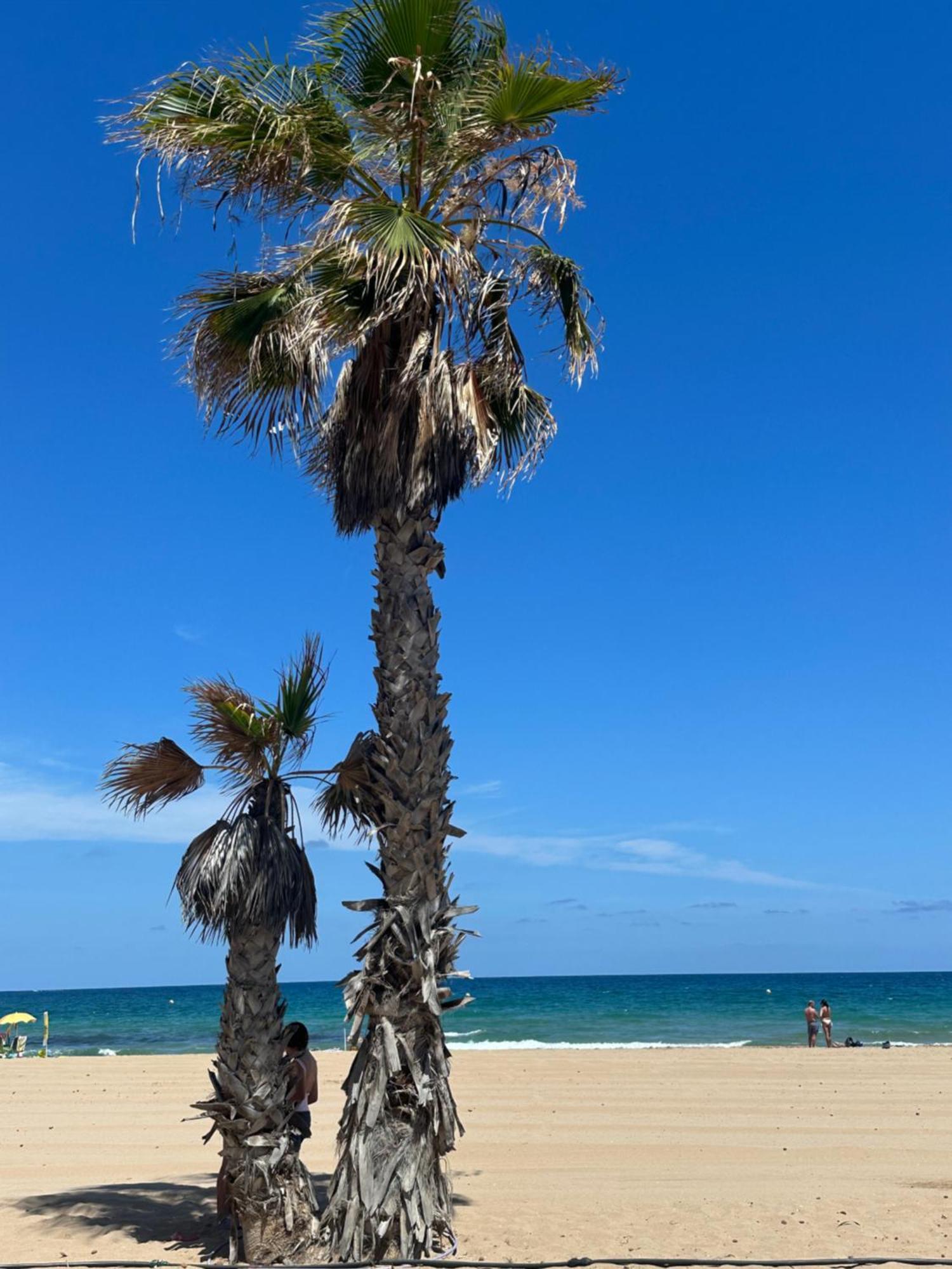 Casitas Del Mar *