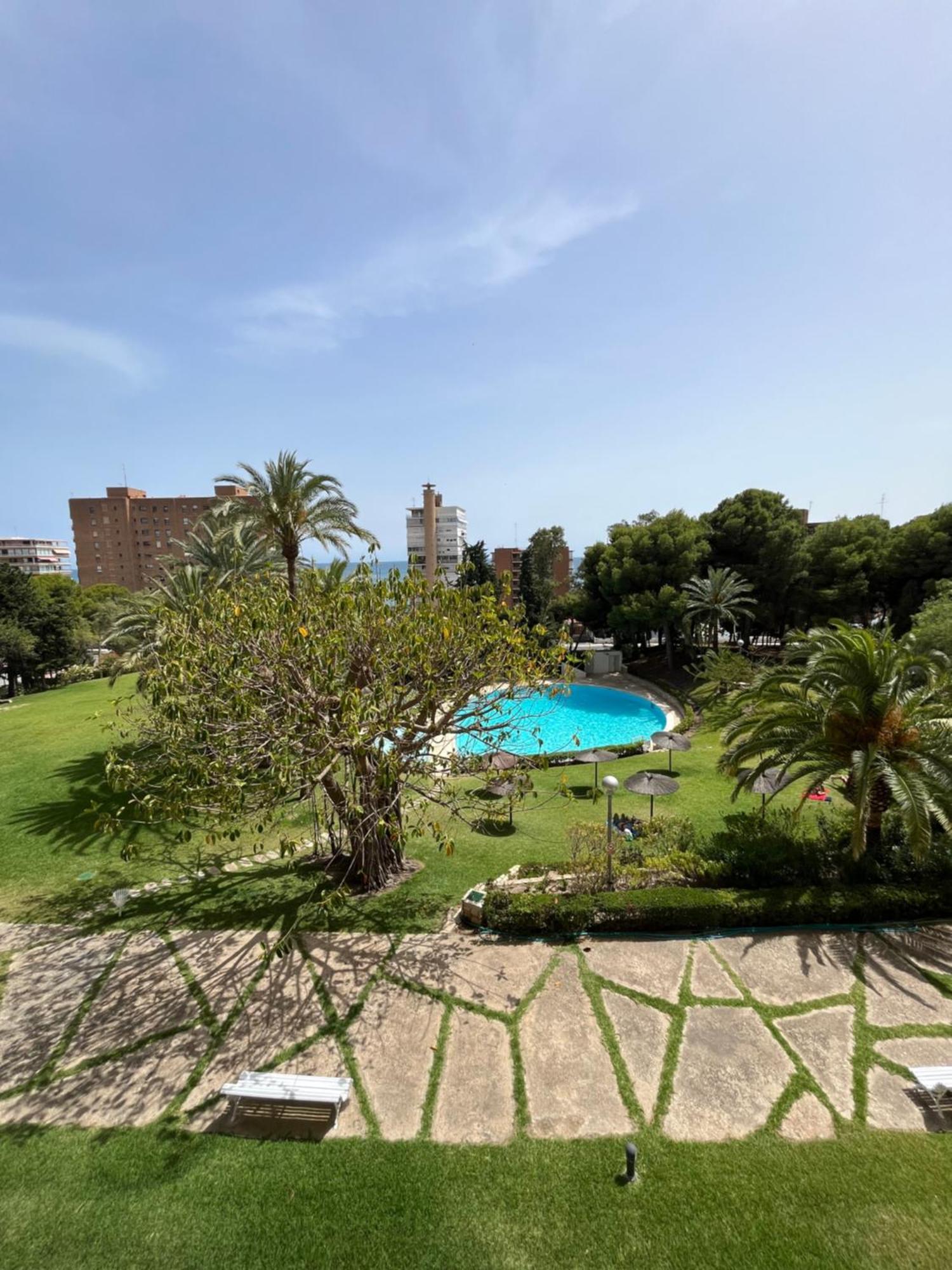 Parque La Chicharra Near And Alicante