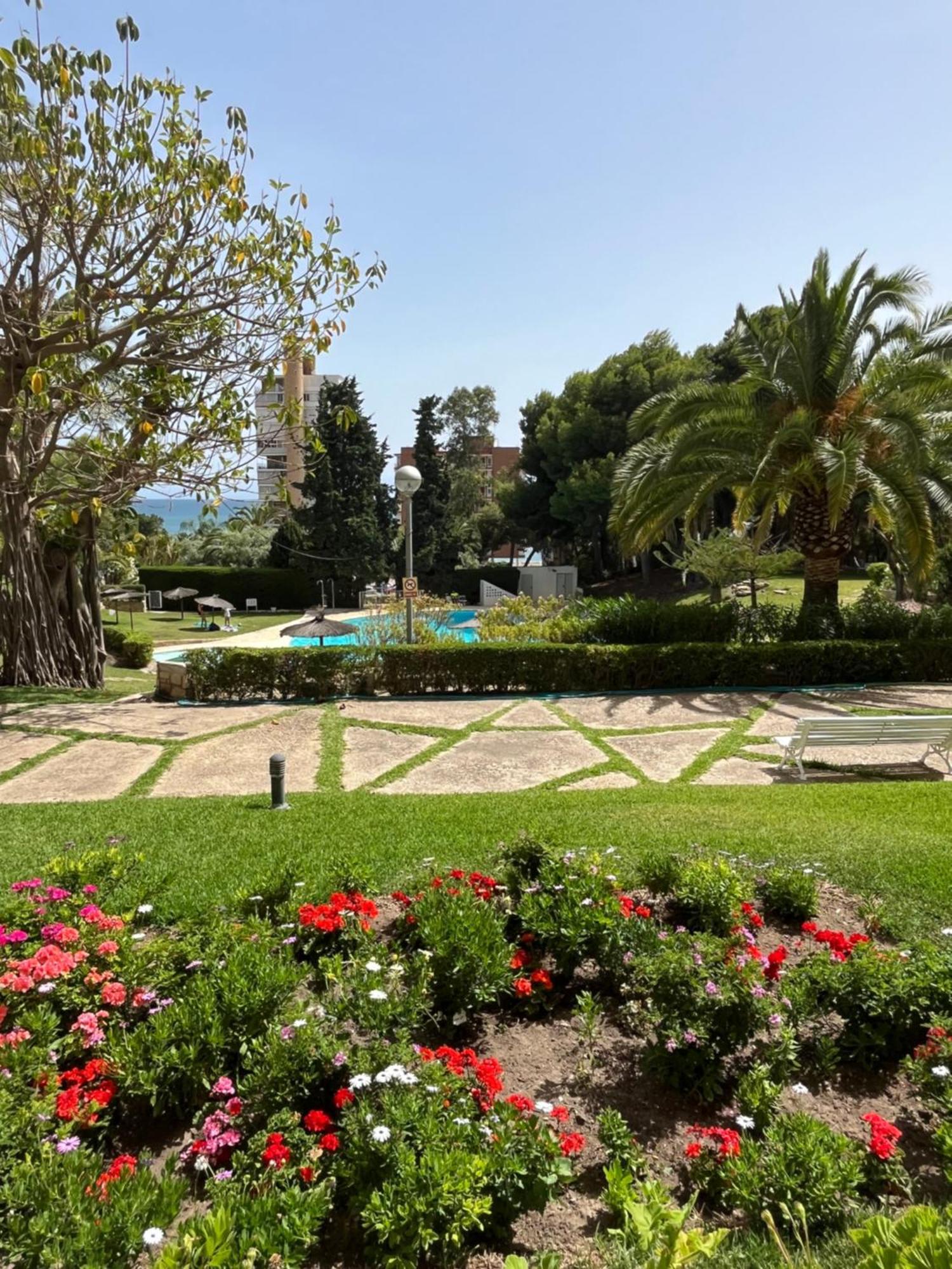 Parque La Chicharra Near And Alicante