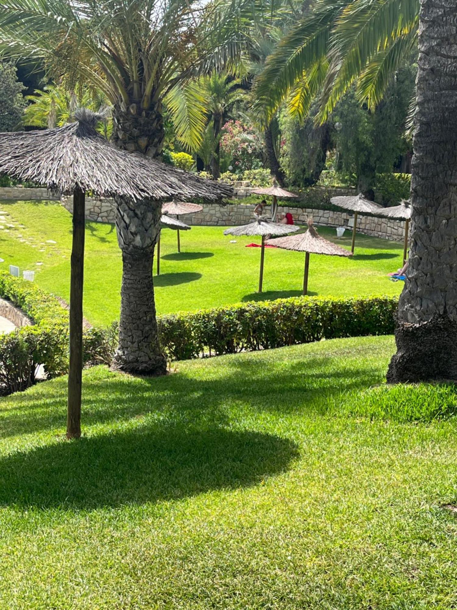 Parque La Chicharra Near And Apartment Alicante
