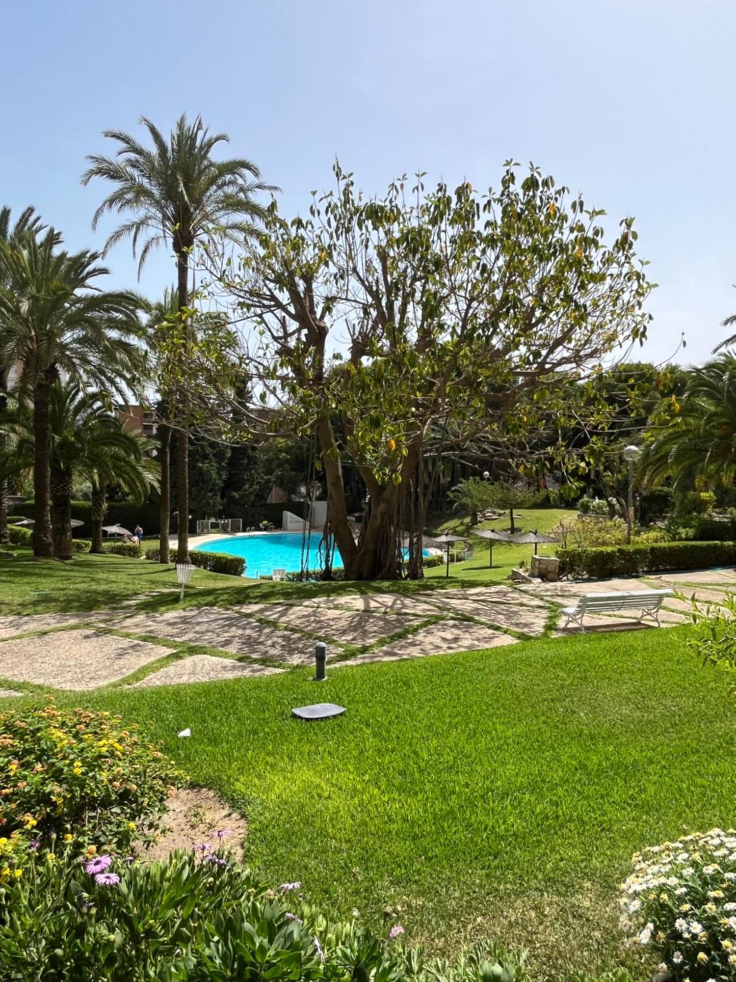 Apartment Parque La Chicharra Near And Alicante