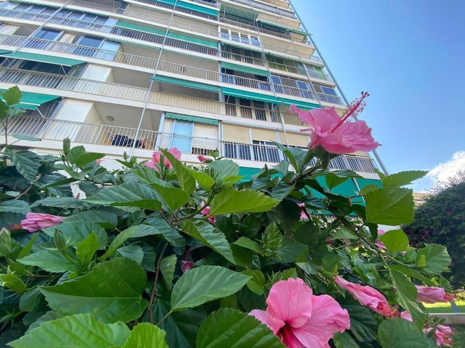 Aitana Playa De San Juan Piscina, Aire Ac, Parking Appartement *