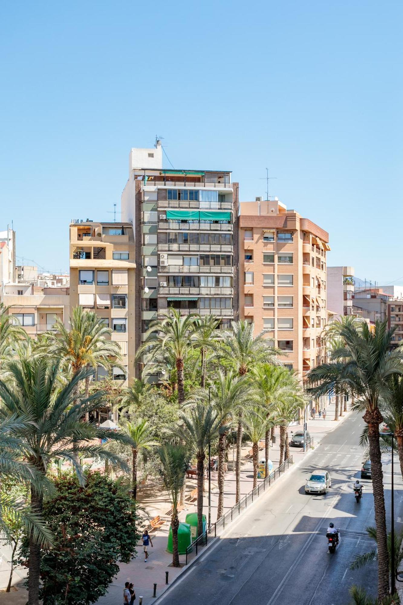 Botanik Dreams Alicante