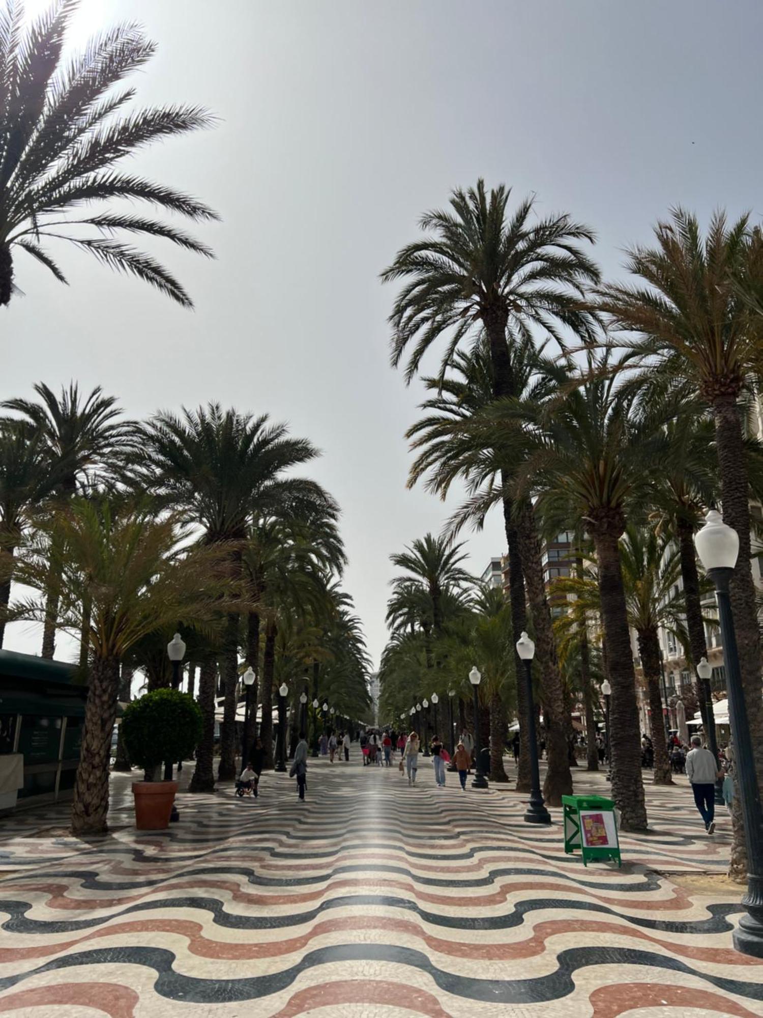 Precioso En Centro Historico De